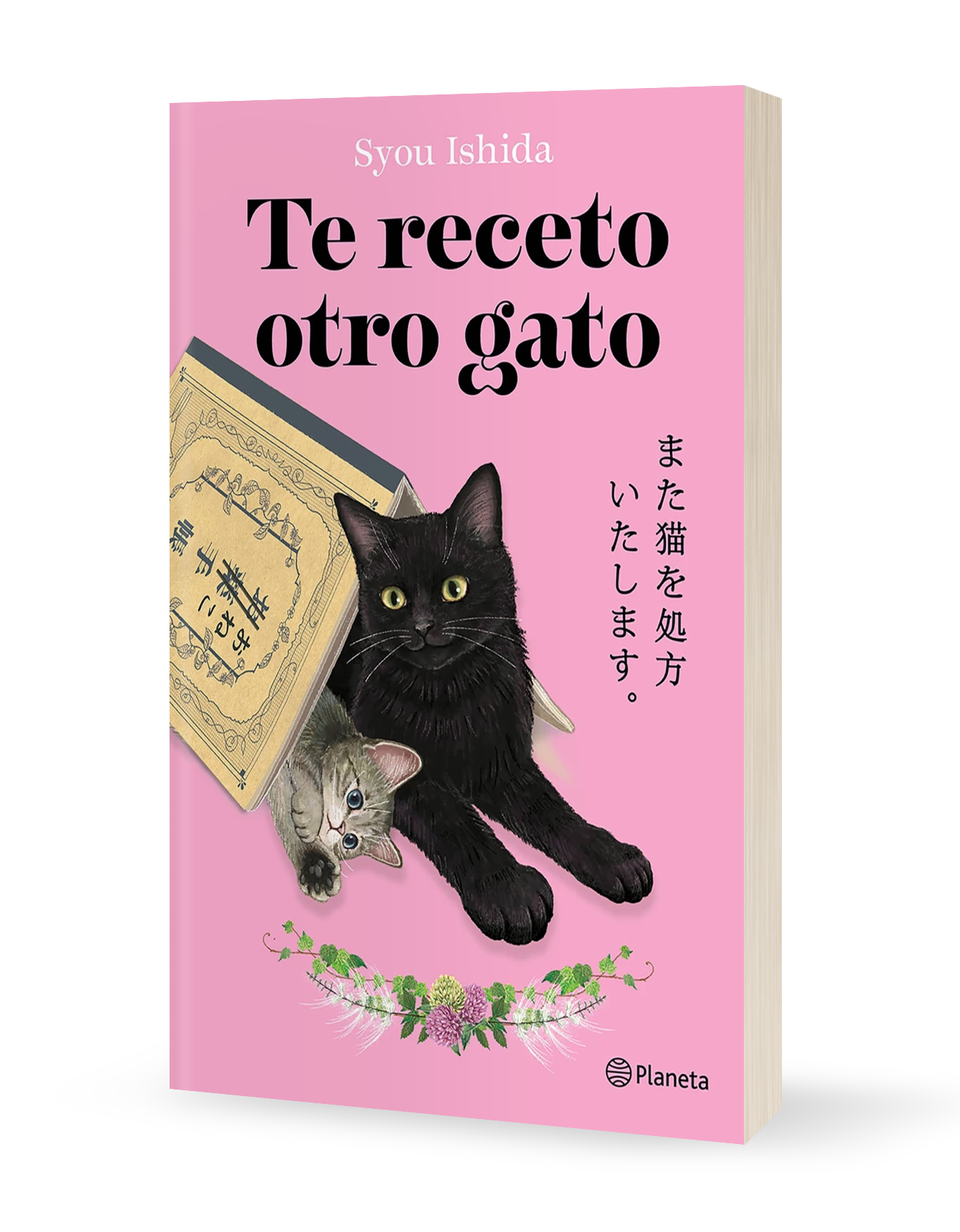 Portada  Te receto otro gato