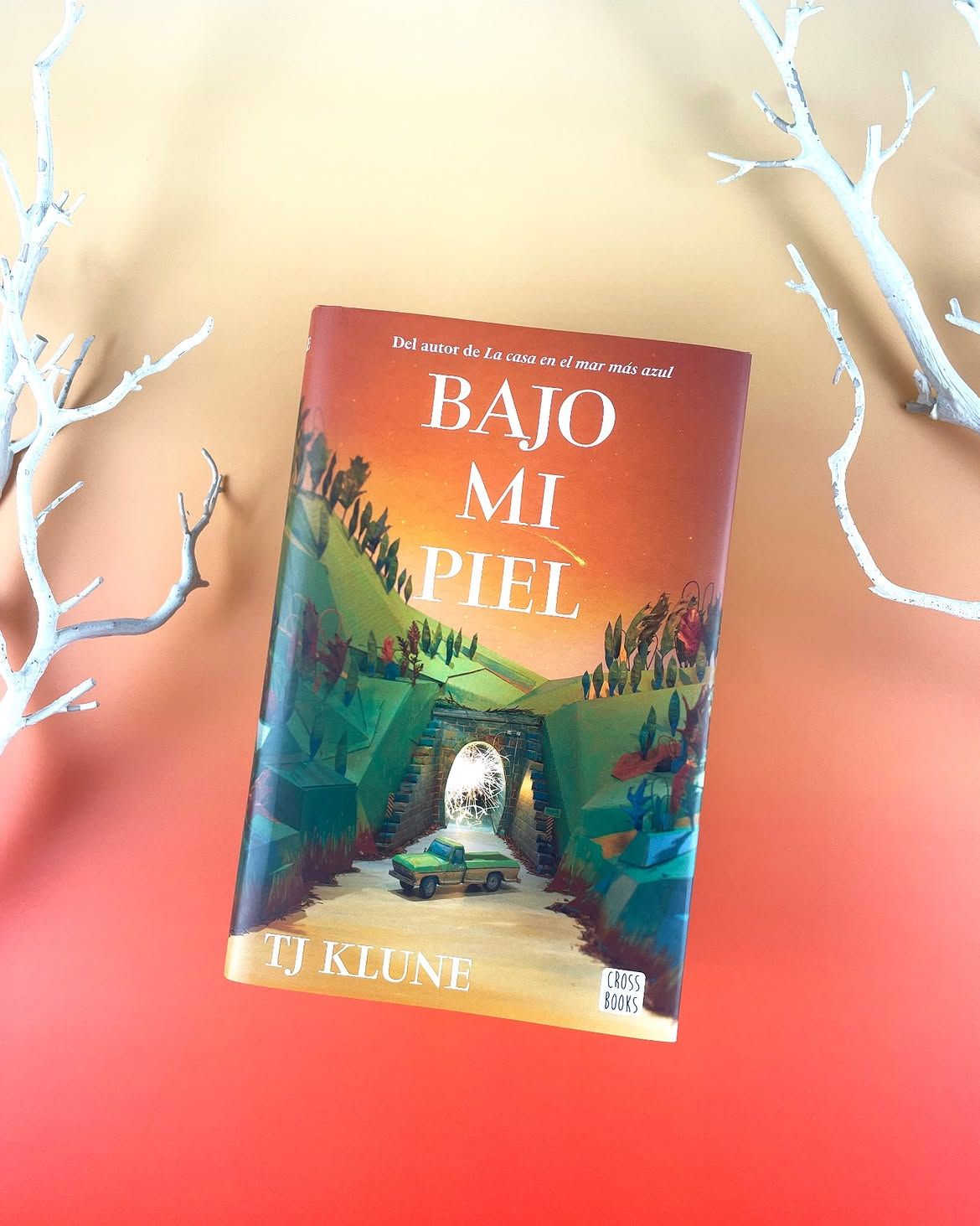 Portada Bajo mi piel 0