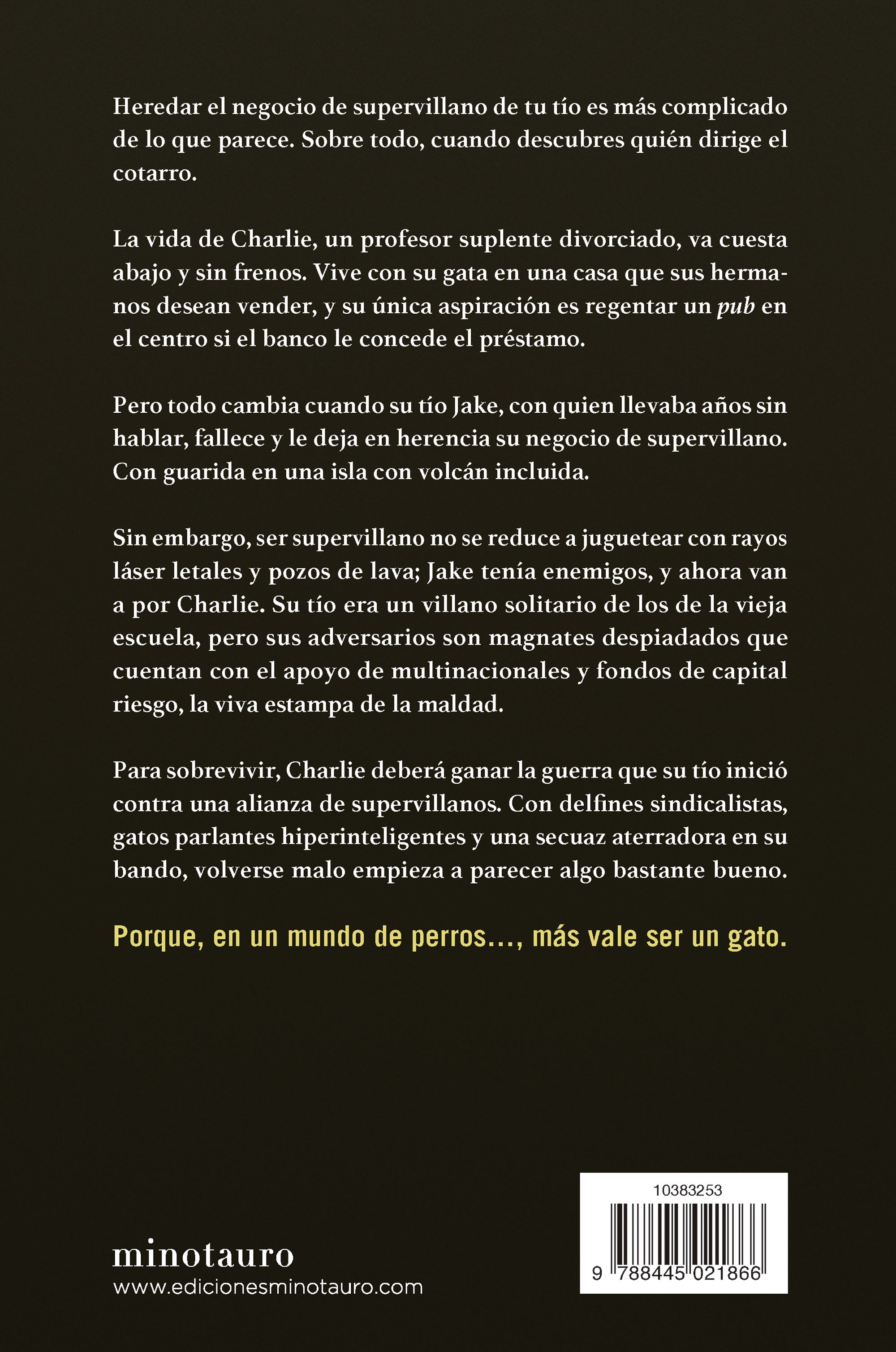 Miniatura contraportada Villano en prácticas