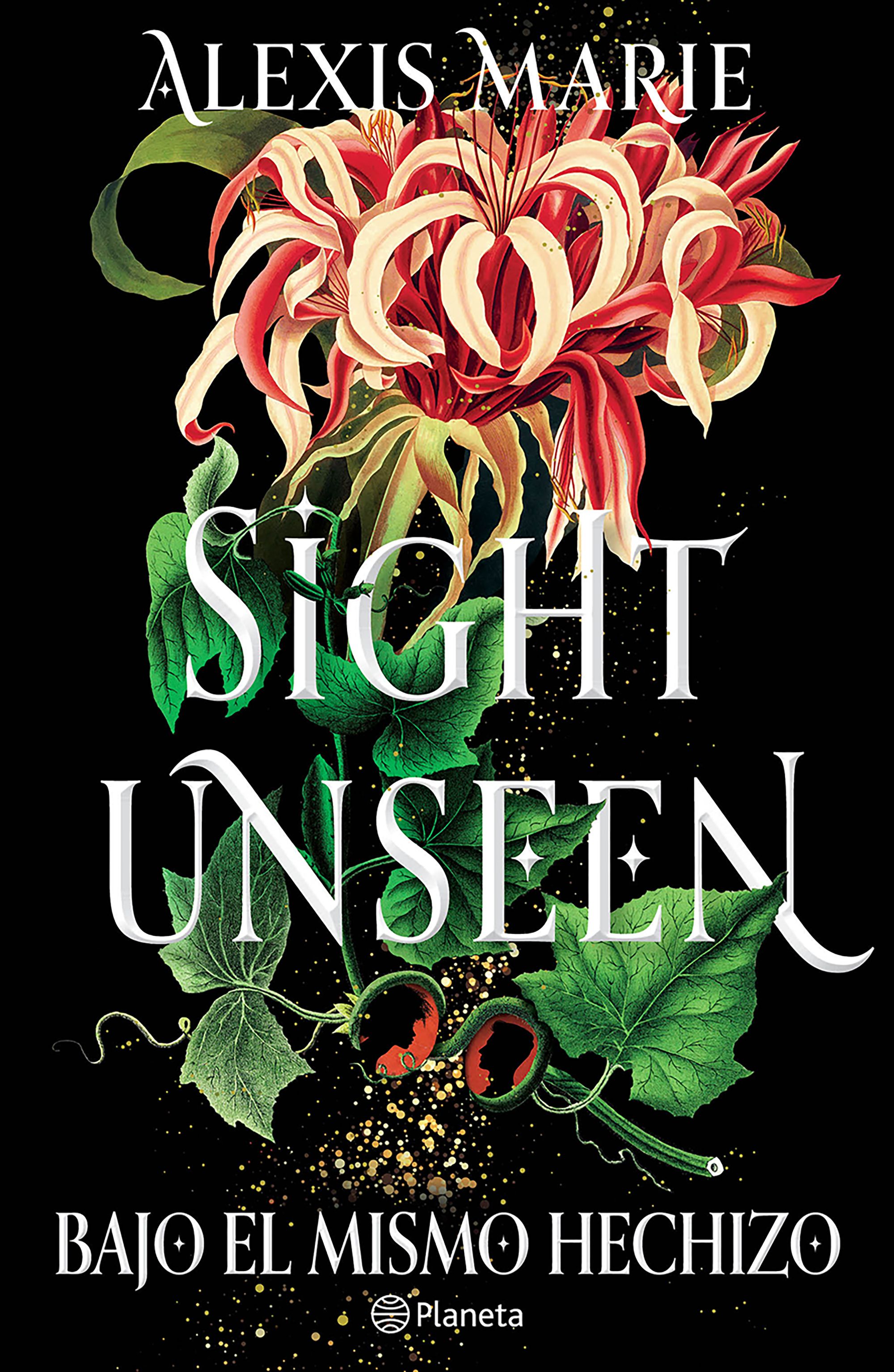 Portada Sight Unseen. Bajo el mismo hechizo