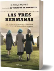 Miniatura portada 3d Las tres hermanas