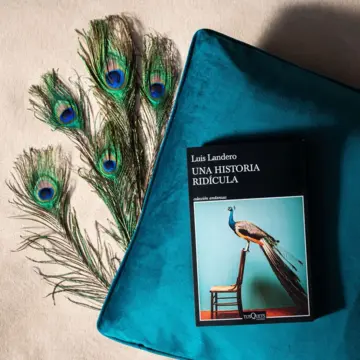 Imagen extra Una historia ridícula 0