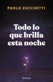 Portada Todo lo que brilla esta noche