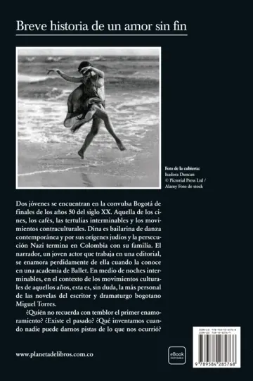 Contraportada Breve historia de un amor sin fin