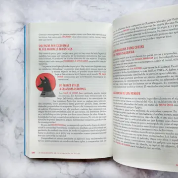 Imagen extra La vida secreta de tu casa 4