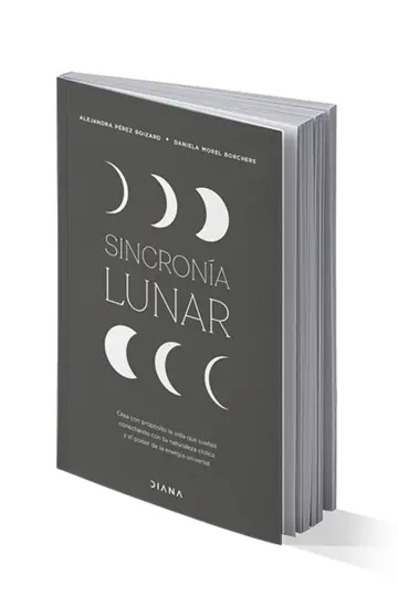 Cover image Lunar Synchronicity