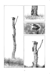 Portada Historias color tierra nº 01/03 0