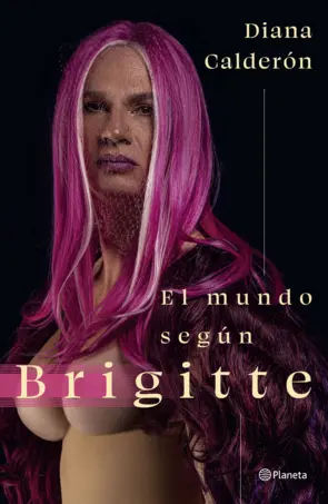 Portada El mundo según Brigitte