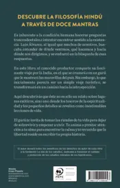 Miniatura contraportada El gurú