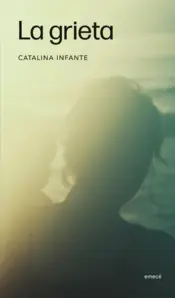 Cover image The Cracks We Bear