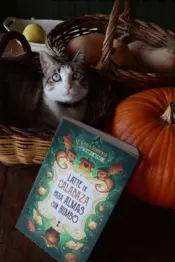 Portada Latte de calabaza para almas sin rumbo 4