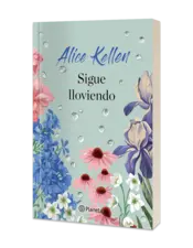 Miniatura portada 3d Sigue lloviendo