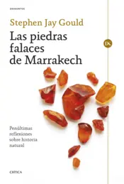 Portada Las piedras falaces de Marrakech