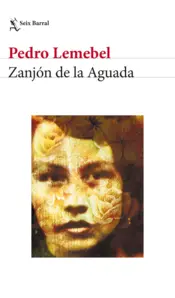 Portada Zanjón de la Aguada
