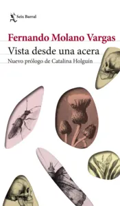 Portada Vista desde una acera