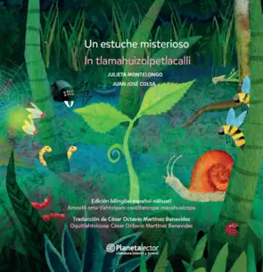 Portada Un estuche misterioso (edición bilingüe)