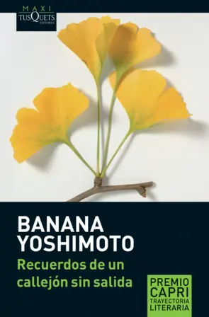 Portada Recuerdos de un callejón sin salida