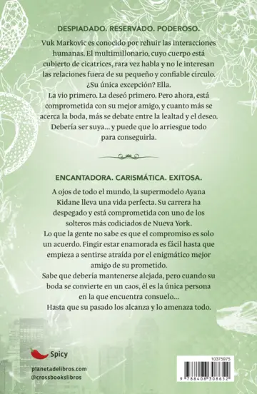 Contraportada TD Pecados 5. Rey de la envidia