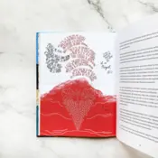 Portada Brillantes y olvidadas 1