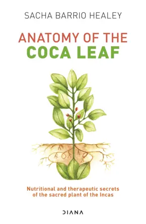 Portada Anatomy of the Coca Leaf