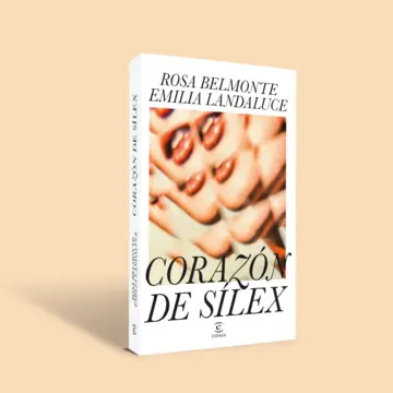 Imagen extra Corazón de sílex 0