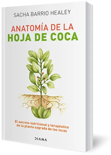 Portada Anatomía de la hoja de coca