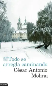 Portada Todo se arregla caminando
