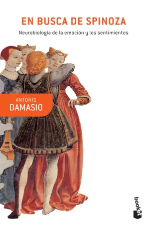 Portada En busca de Spinoza