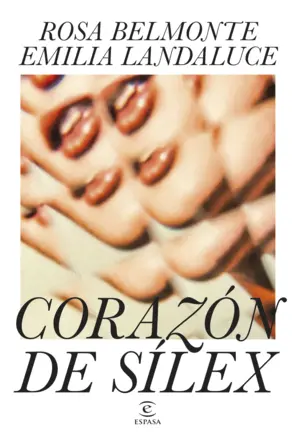 Portada Corazón de sílex