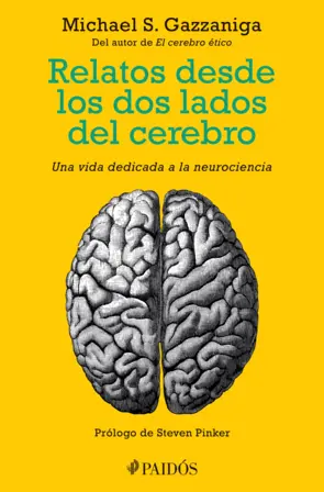 Portada Relatos desde los dos lados del cerebro
