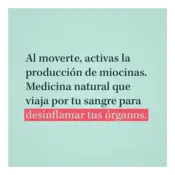 Portada Tu cuerpo tiene las respuestas 1