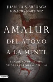 Portada Amalur