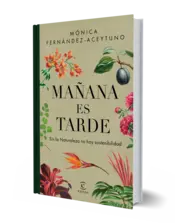 Miniatura portada 3d Mañana es tarde