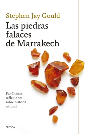 Portada Las piedras falaces de Marrakech